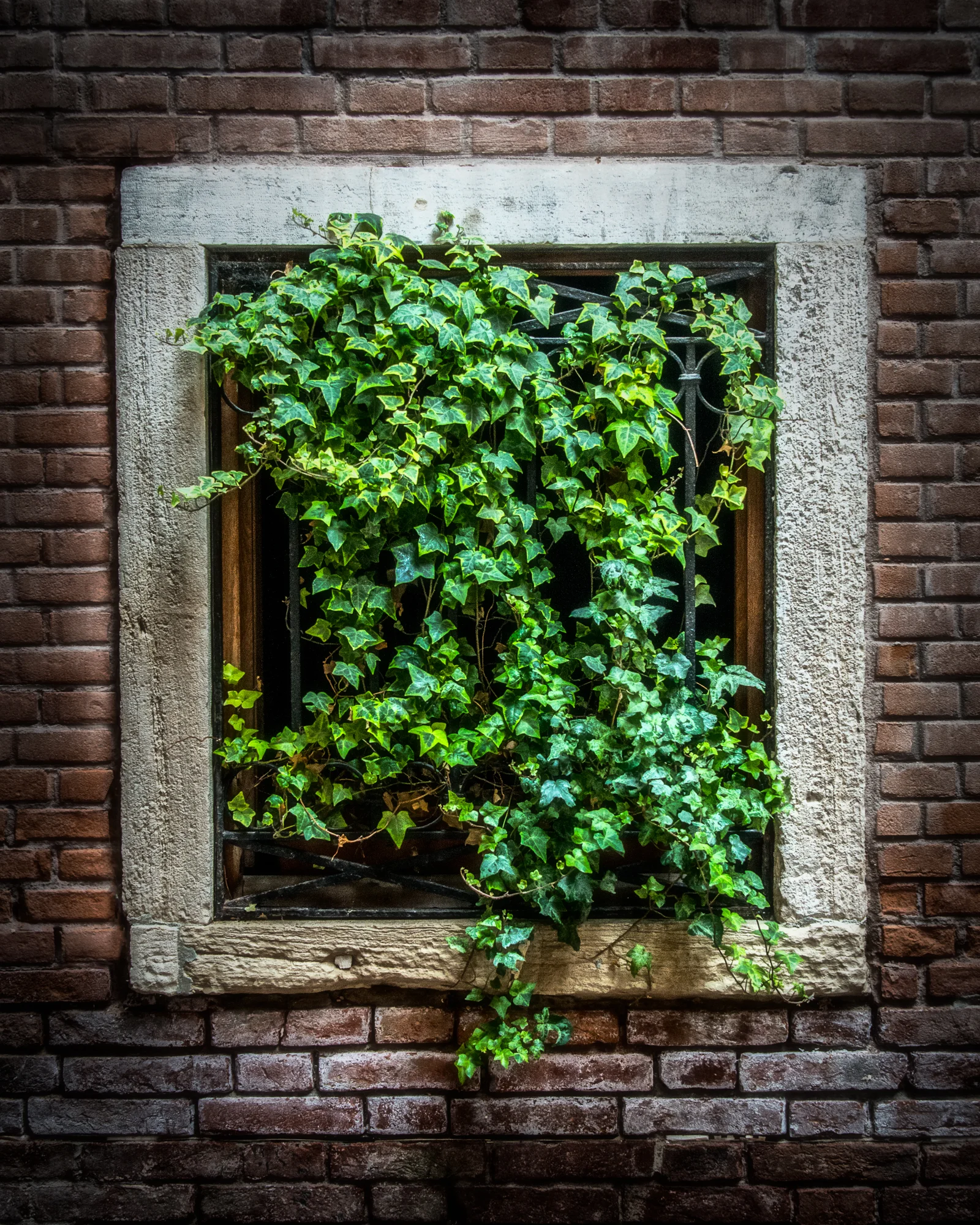 Venetian Window #21