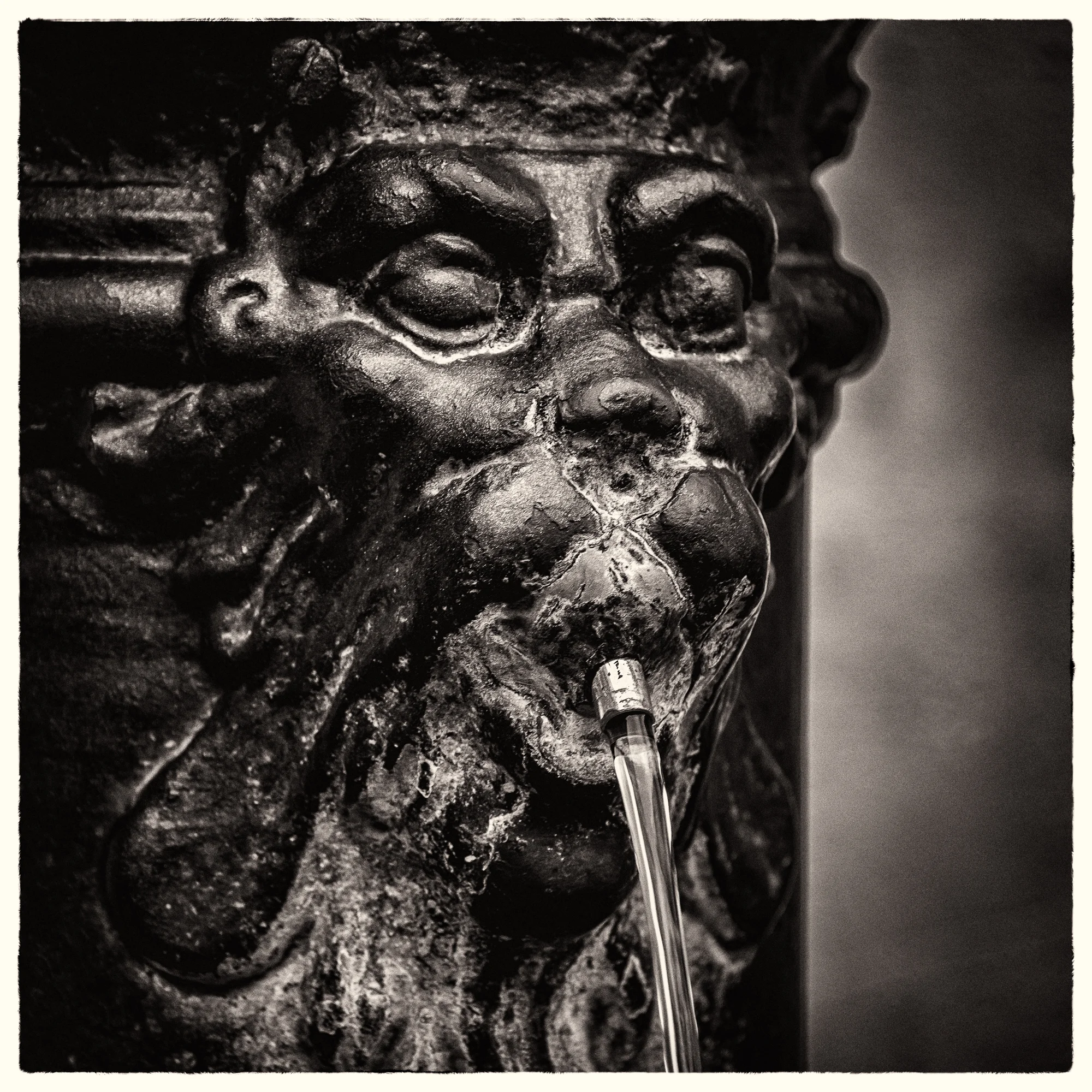 Wandering Venice #12