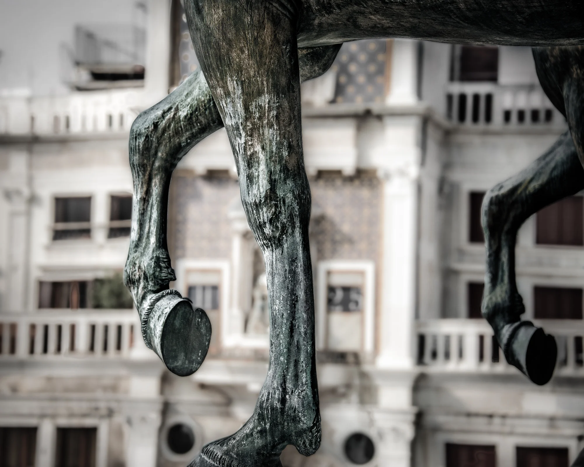 Wandering Venice #16