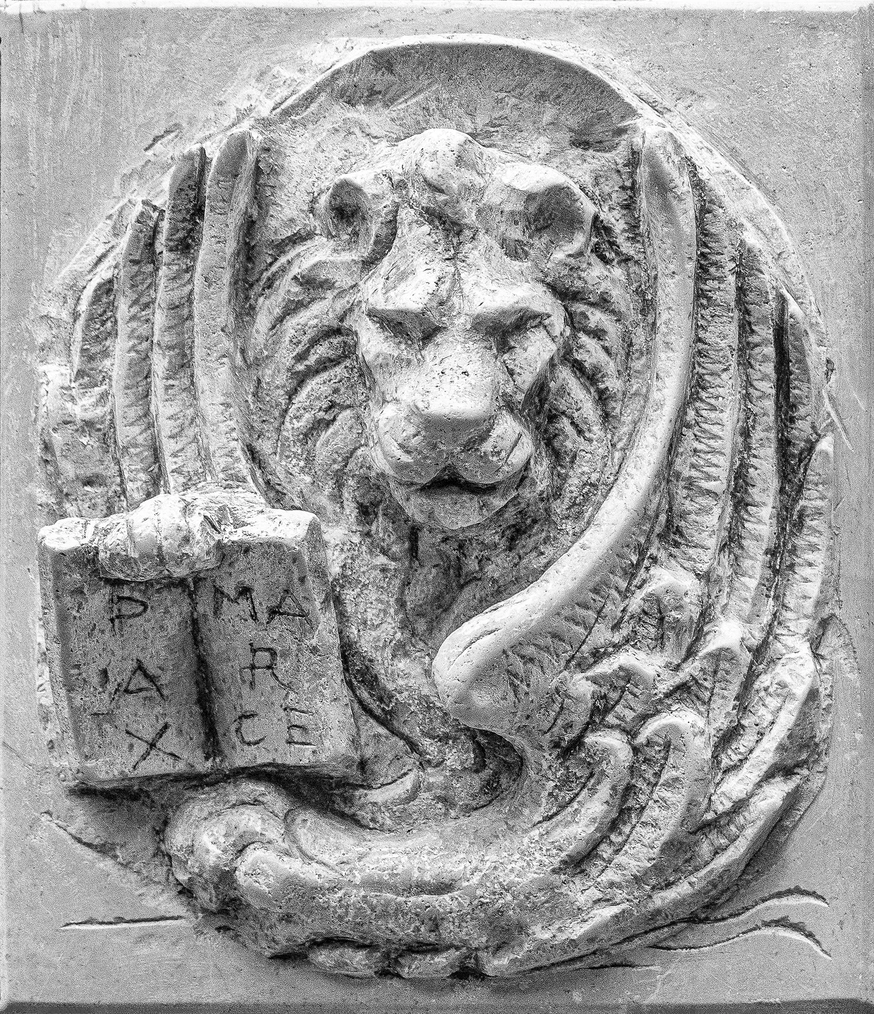 Wandering Venice #21