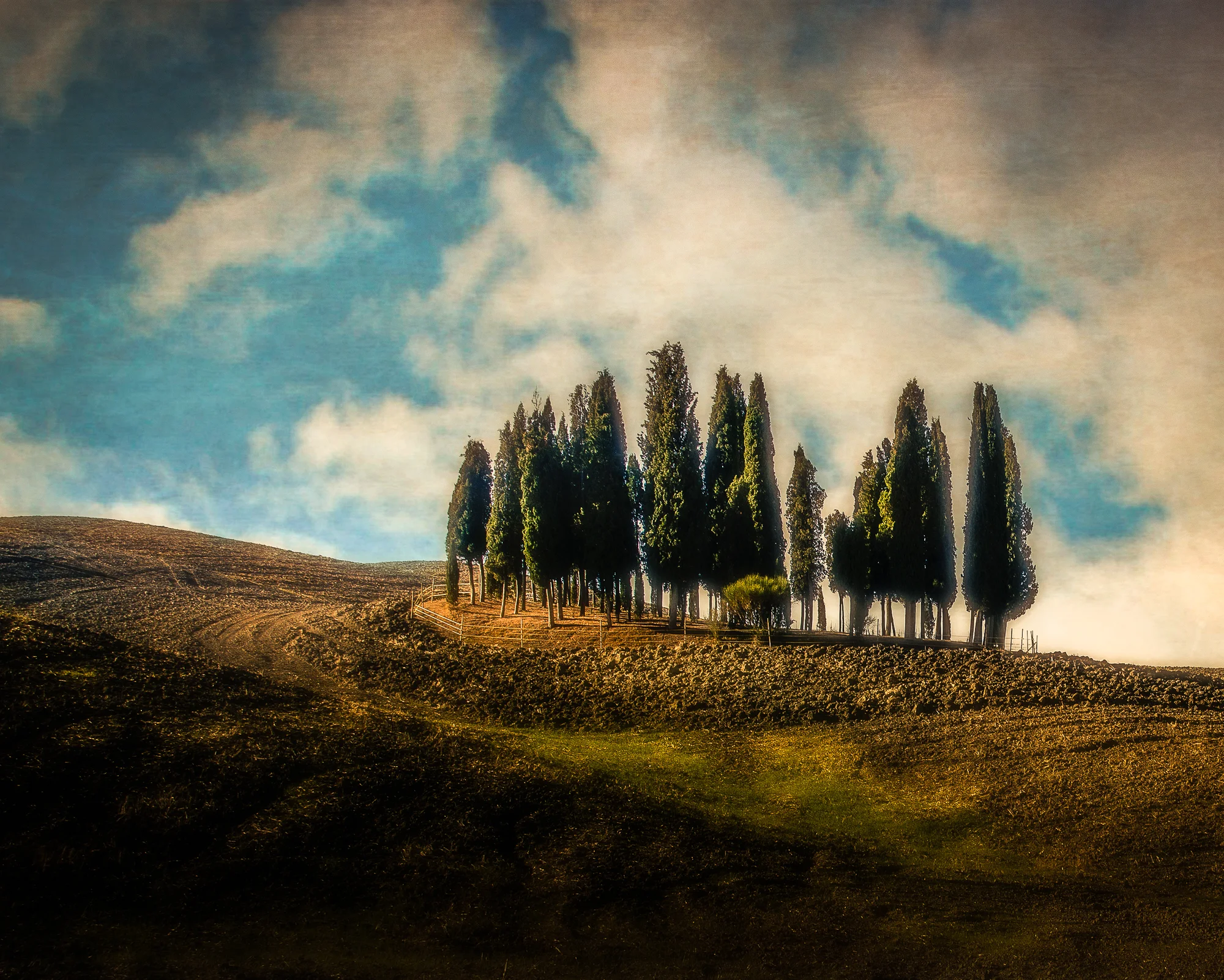 Tuscan Country #4
