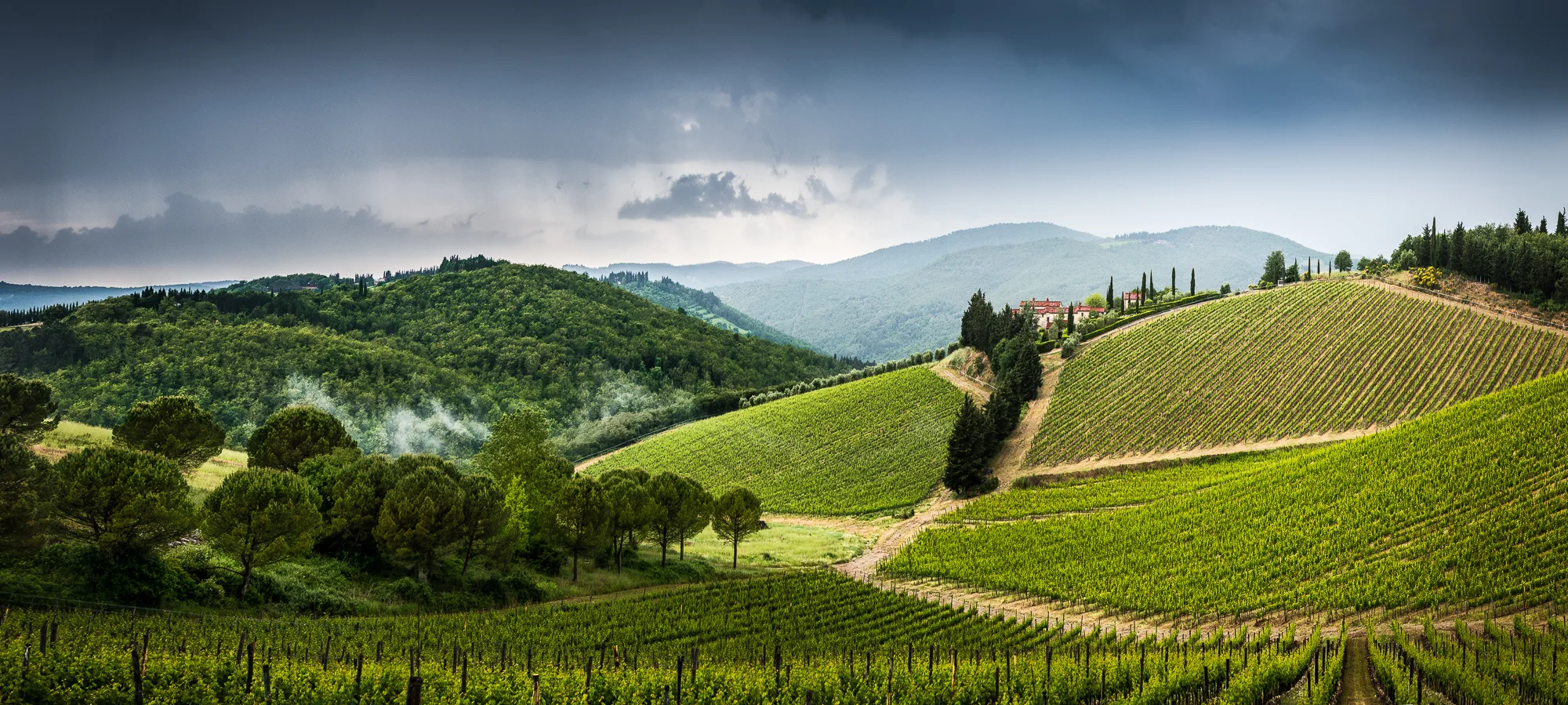 Tuscan Country #10