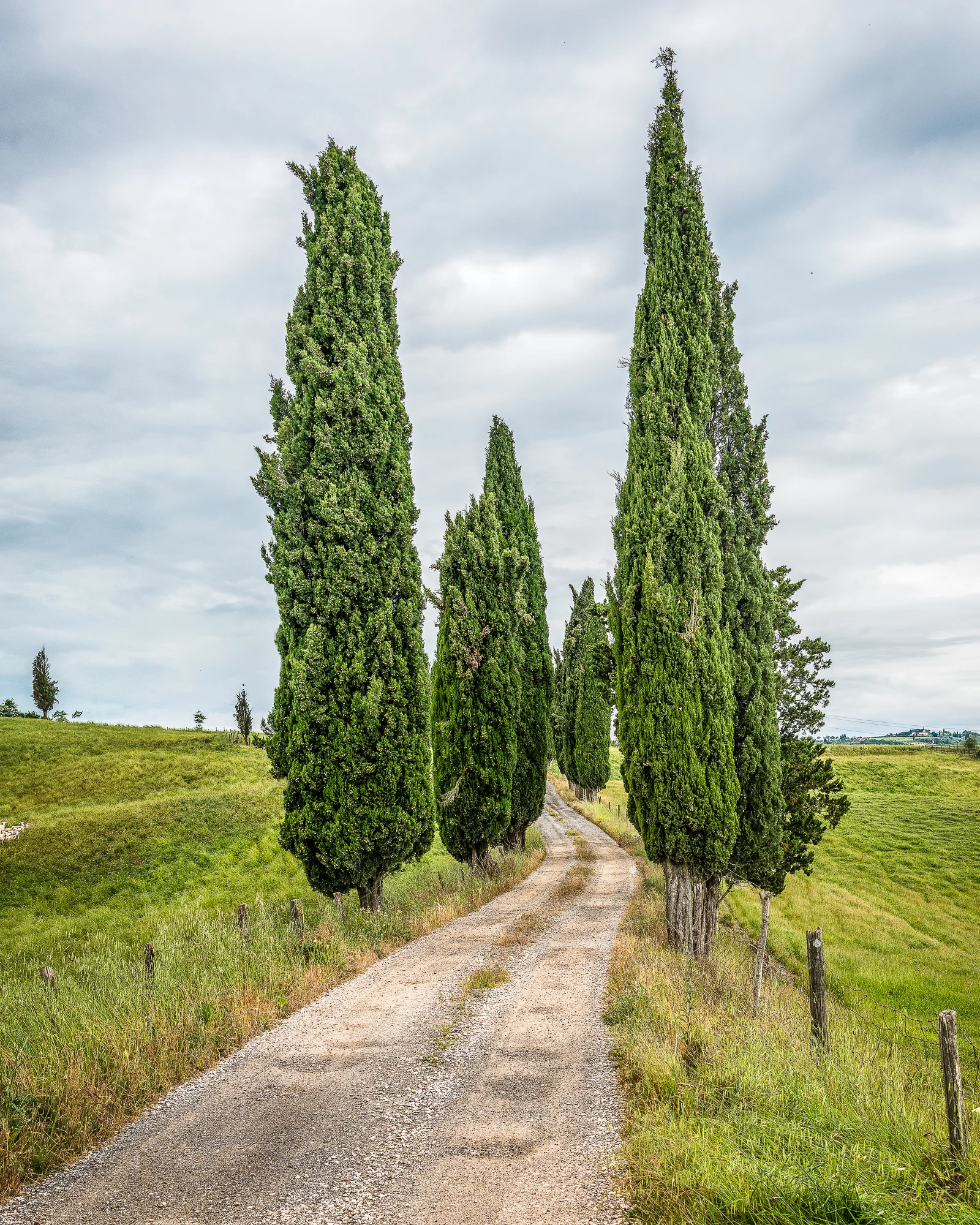 Tuscan Country #13