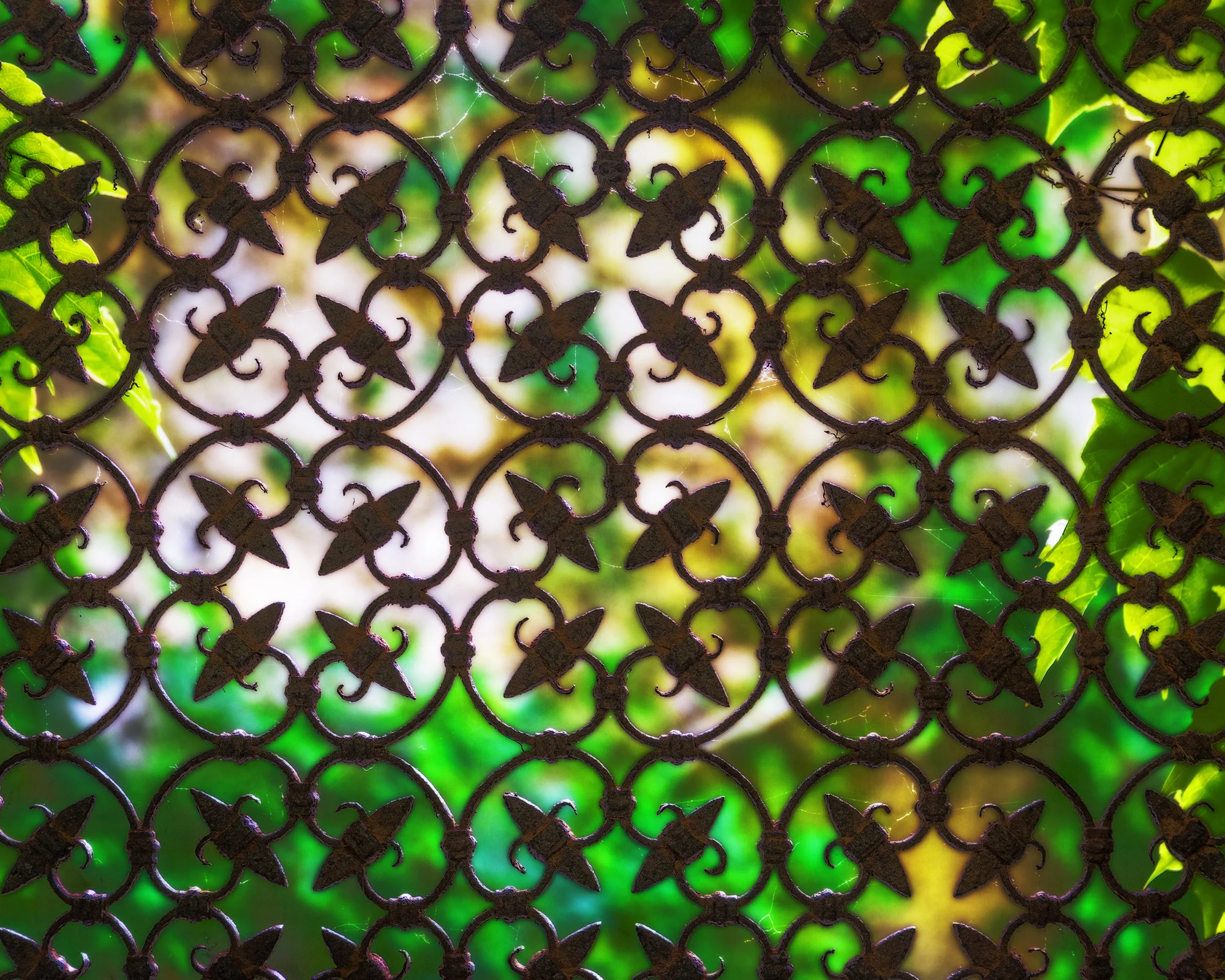 Iron Window Covering