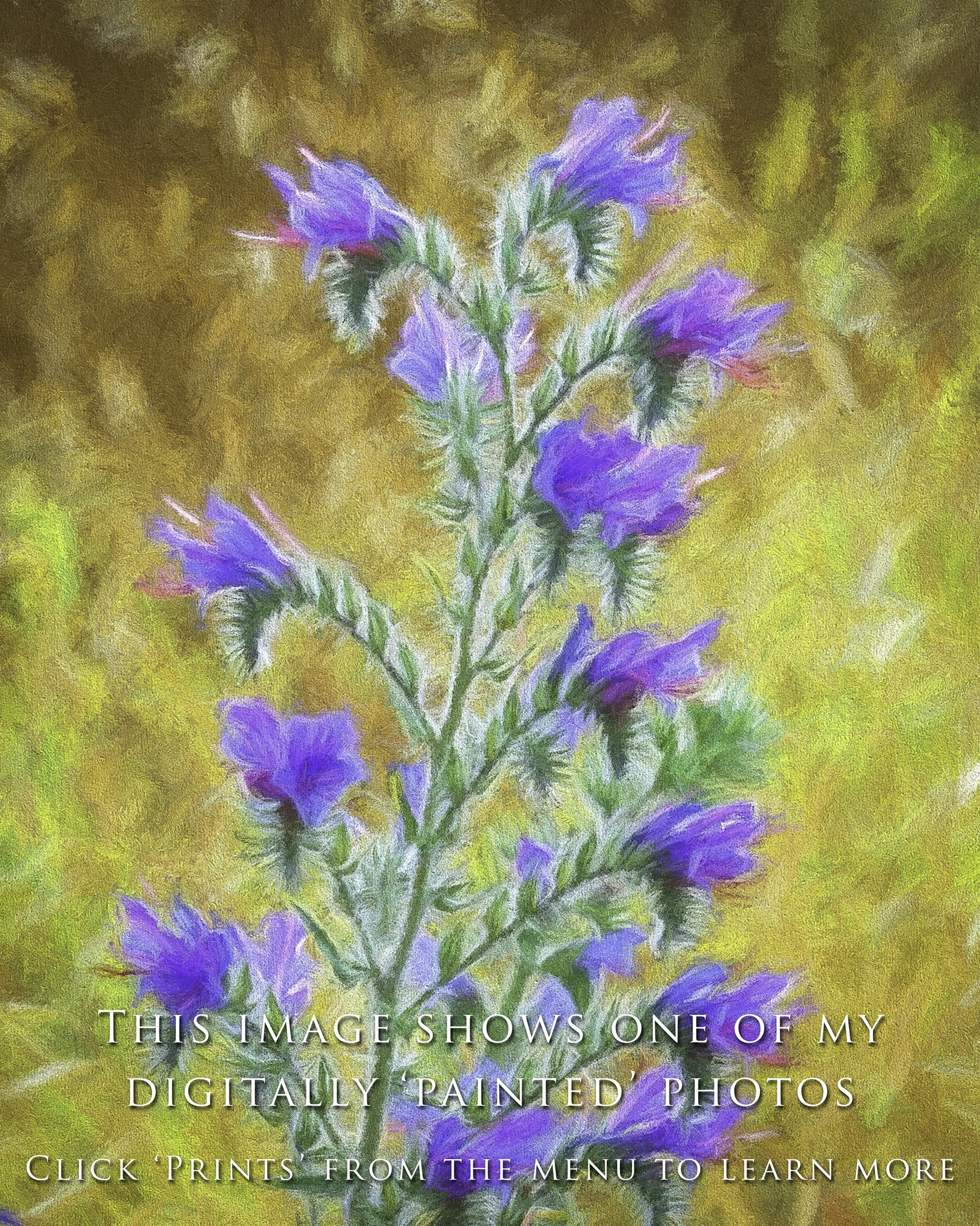 Digital Painting Example