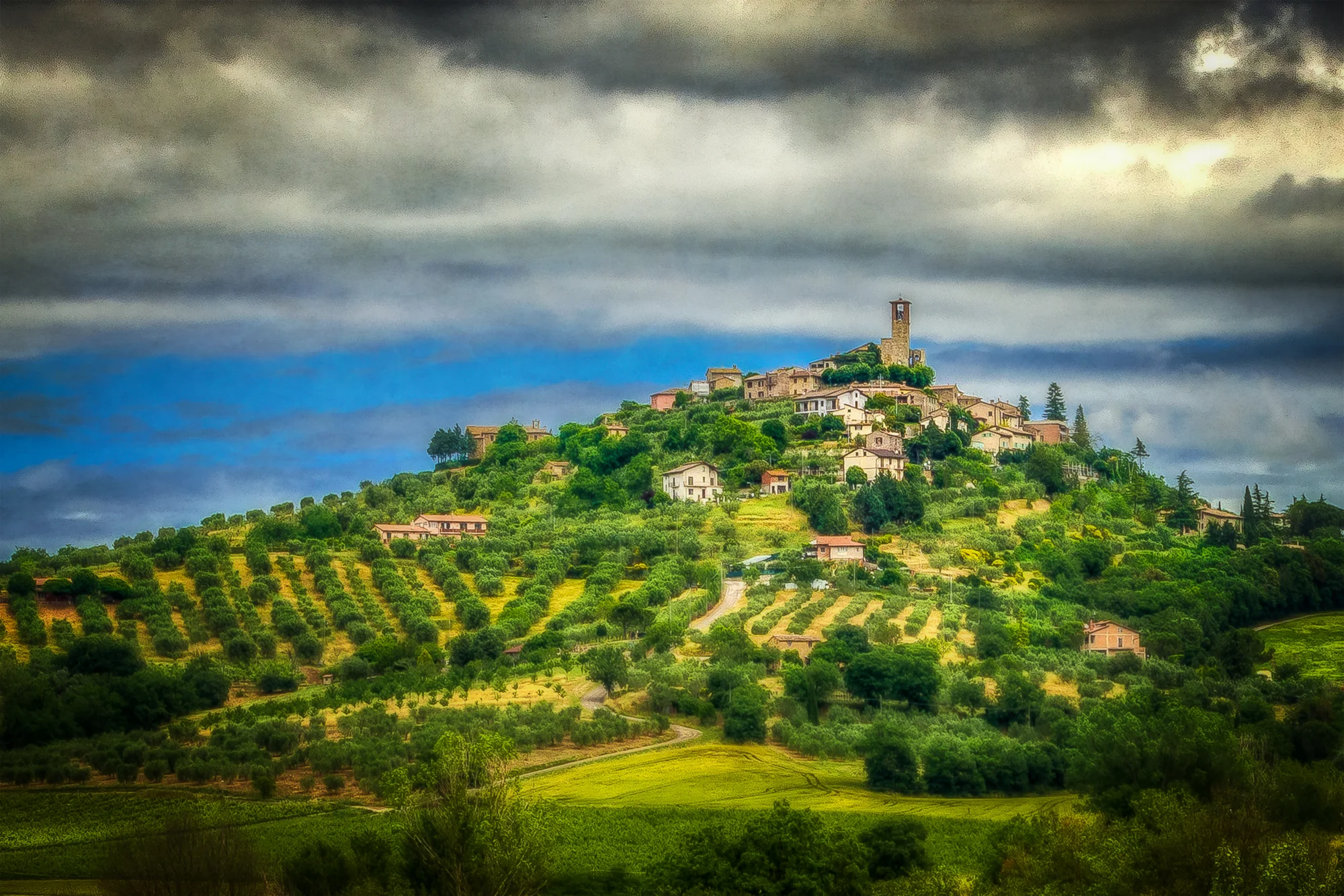 Tuscan Country #49