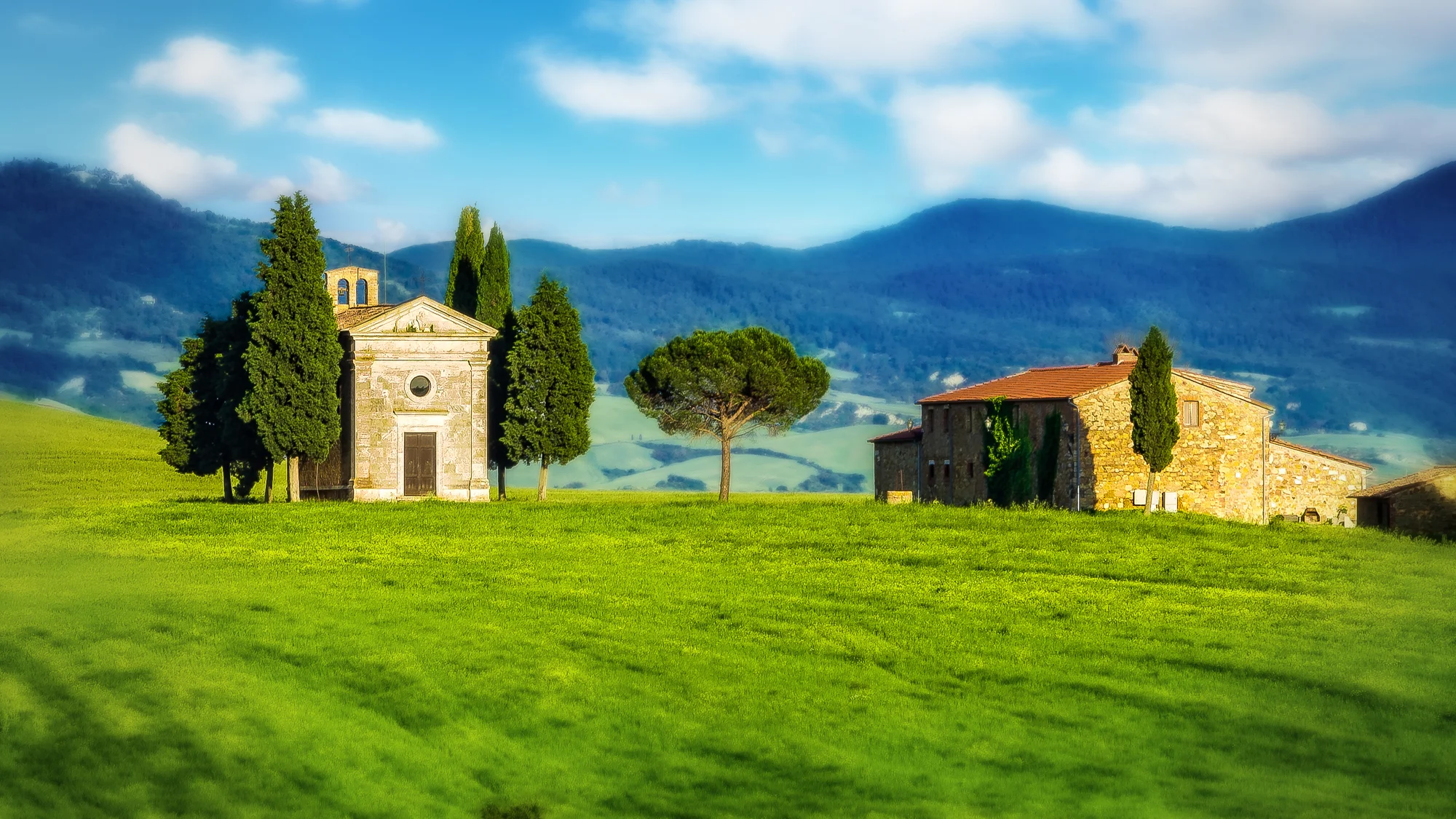 Tuscan Country #27