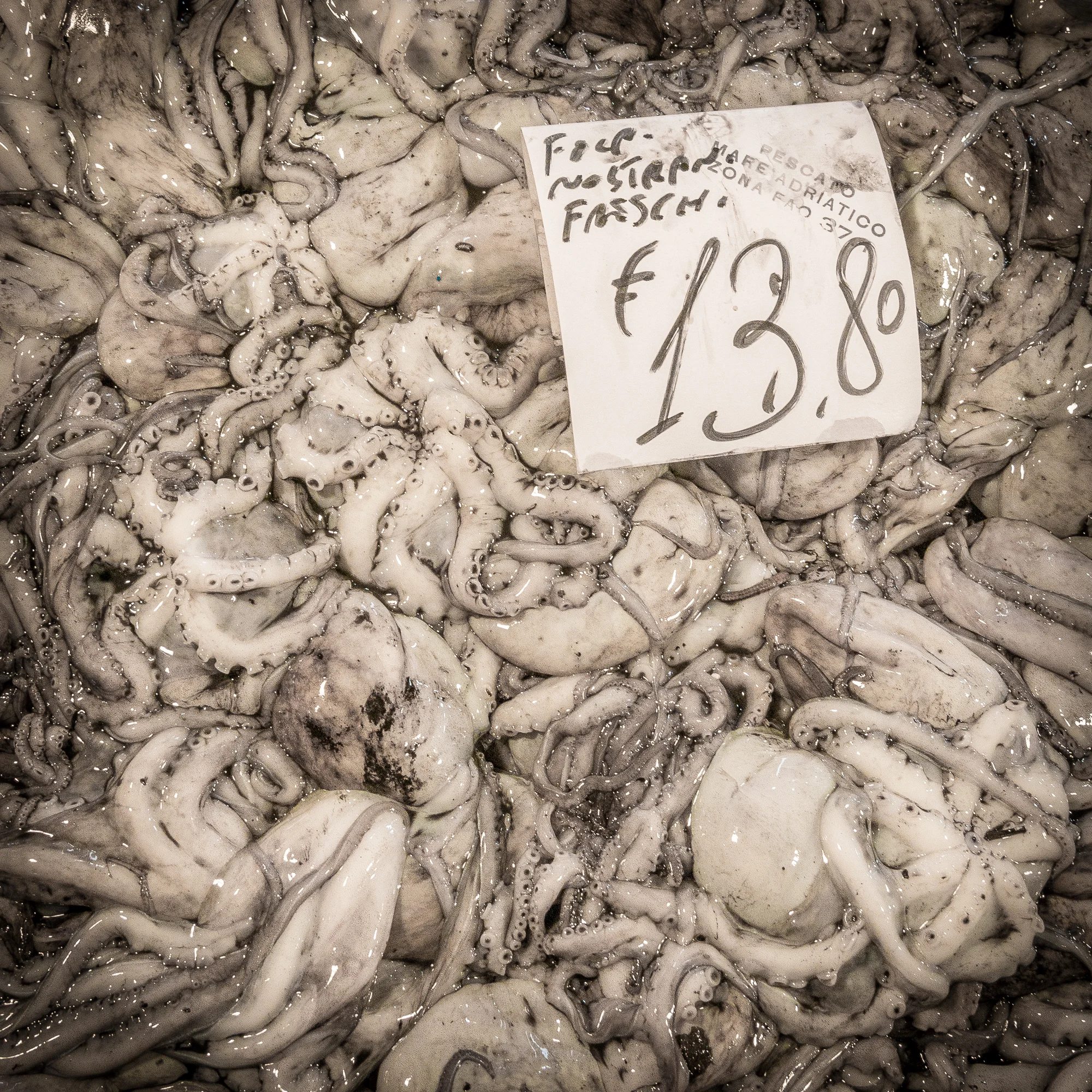 Seafood Market #18
