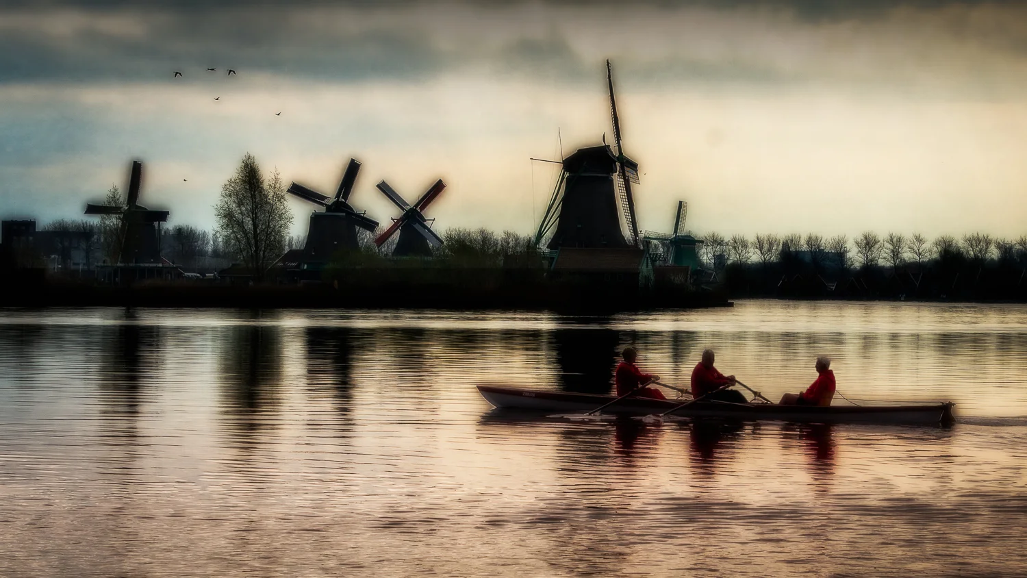 Holland2015-242.jpg