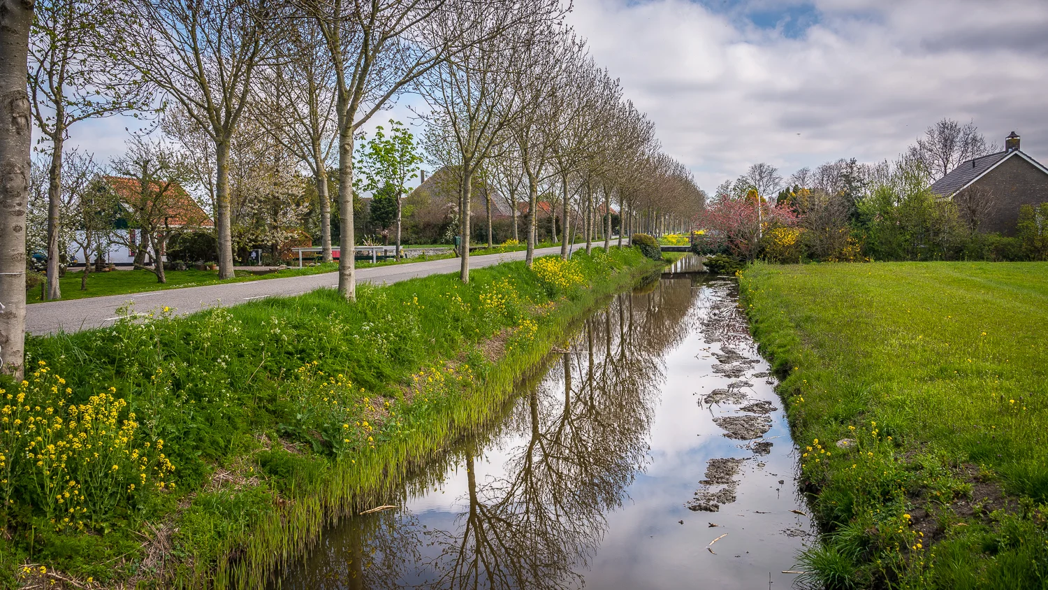 Holland2015-243.jpg