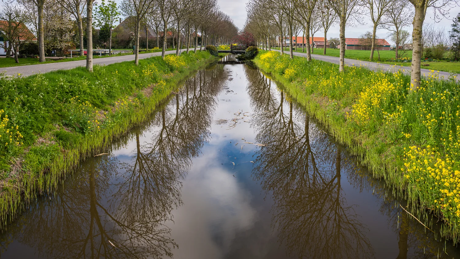 Holland2015-244.jpg