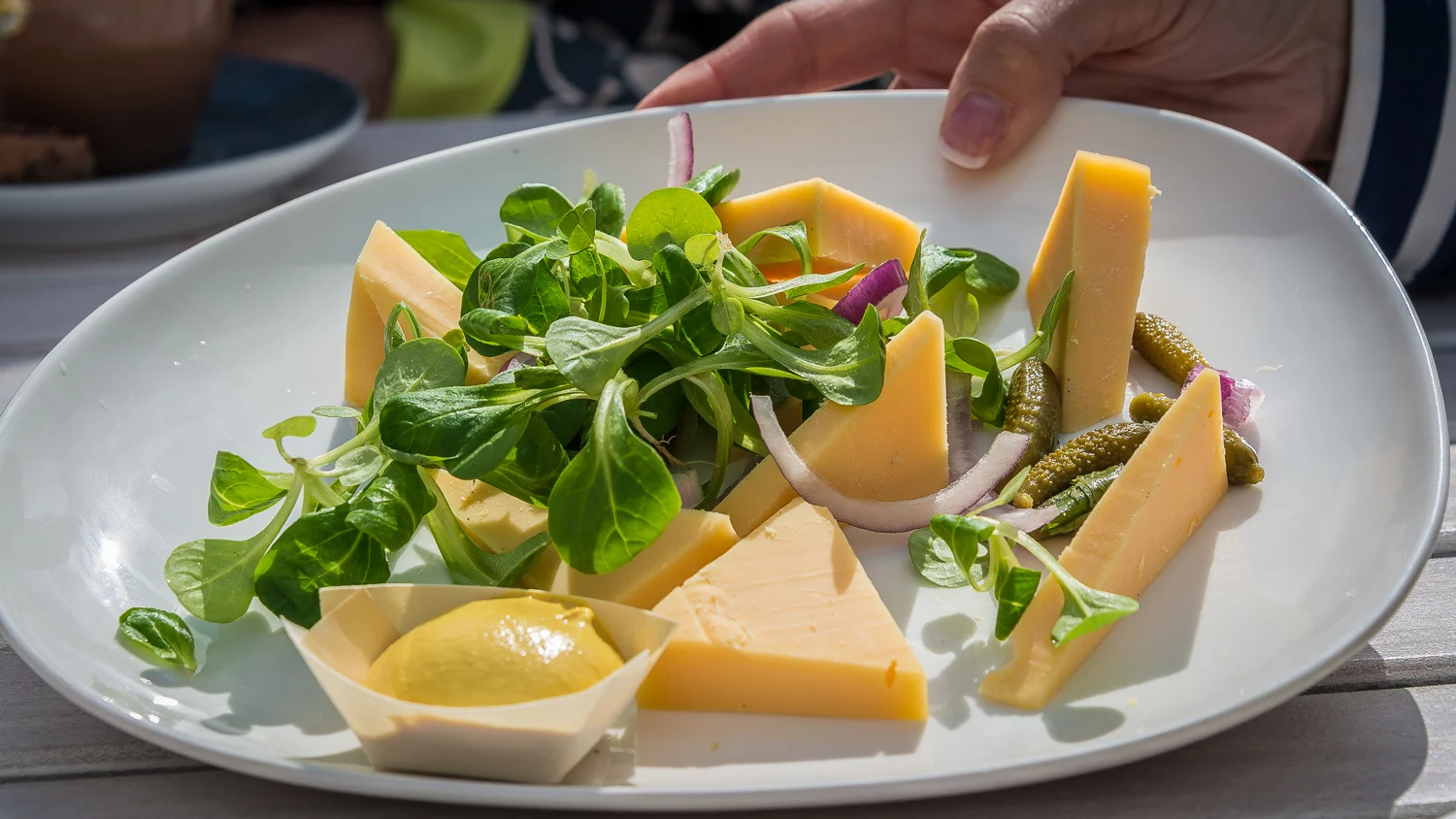 Holland2015-257.jpg