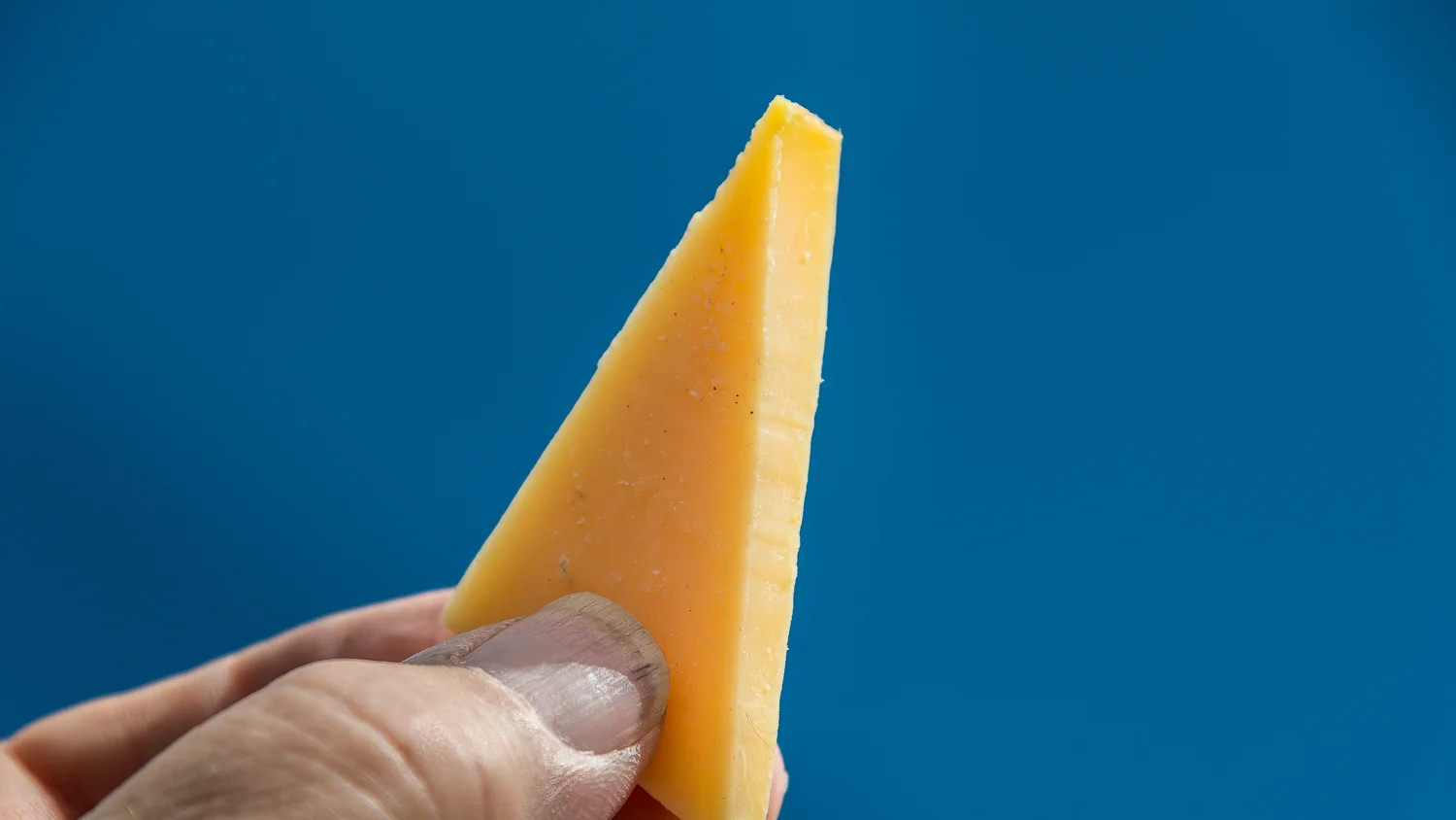 Holland2015-258.jpg