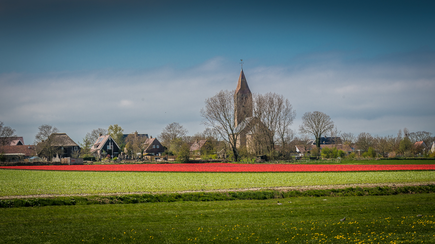 Holland2015-265.jpg