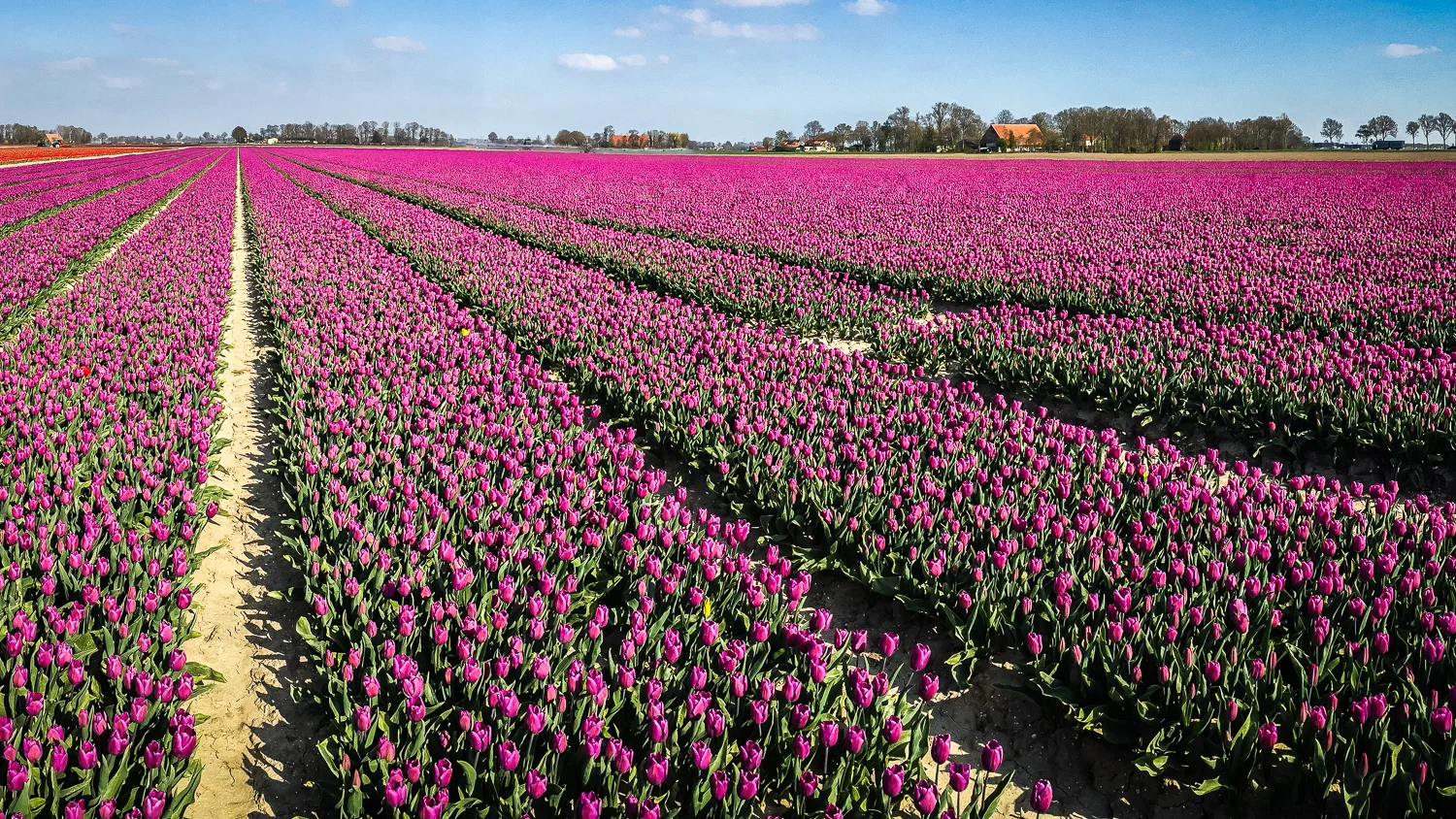 Holland2015-290.jpg