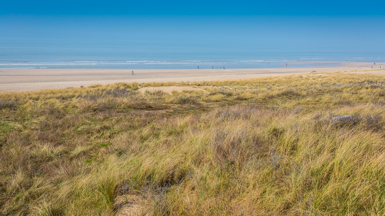 Holland2015-323.jpg