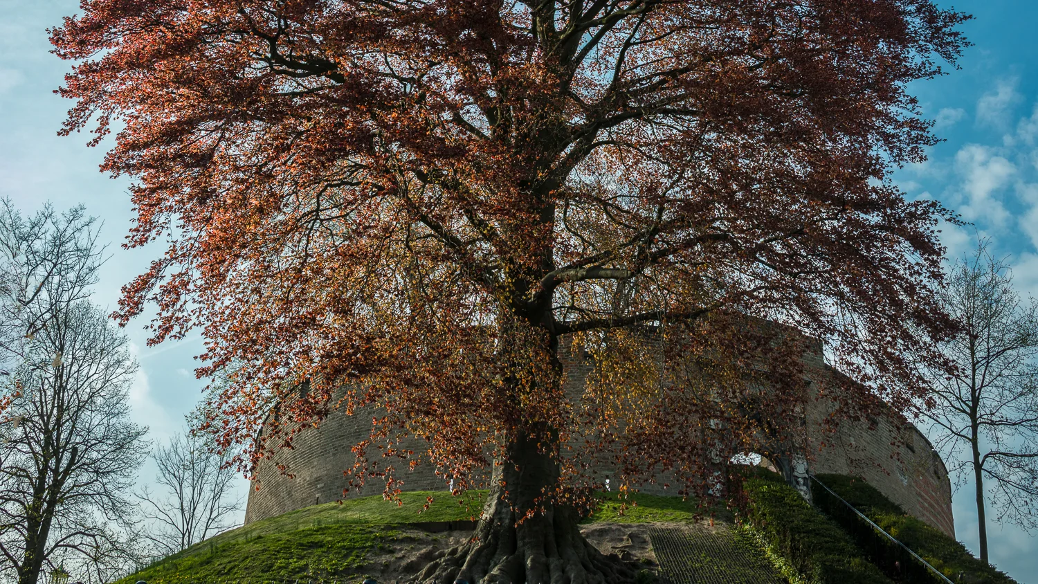 Holland2015-329.jpg
