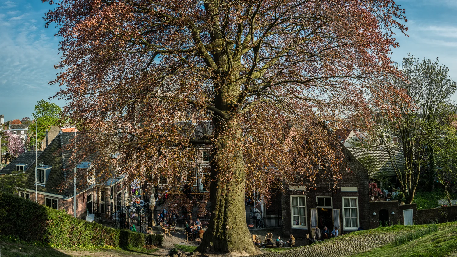 Holland2015-331.jpg