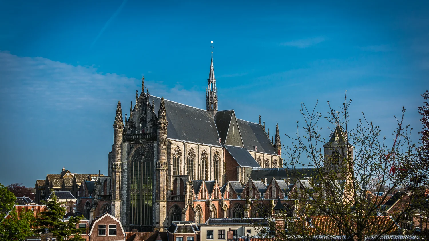 Holland2015-334.jpg