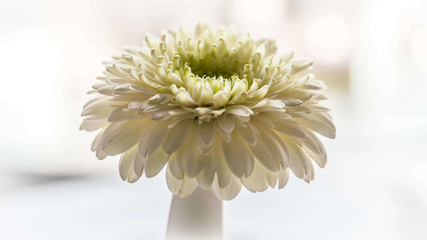 Holland2015-349.jpg