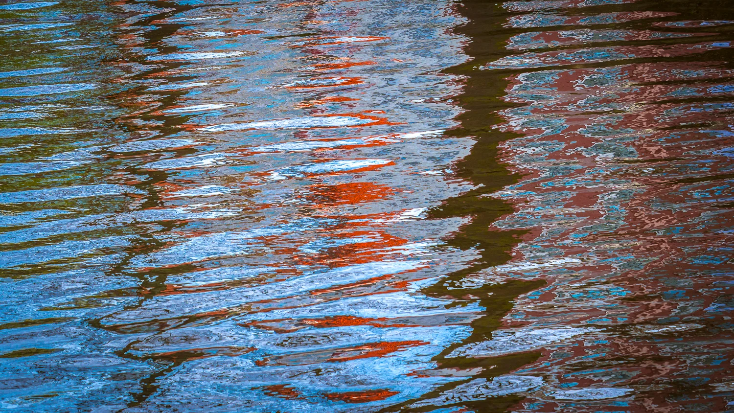 Holland2015-377.jpg