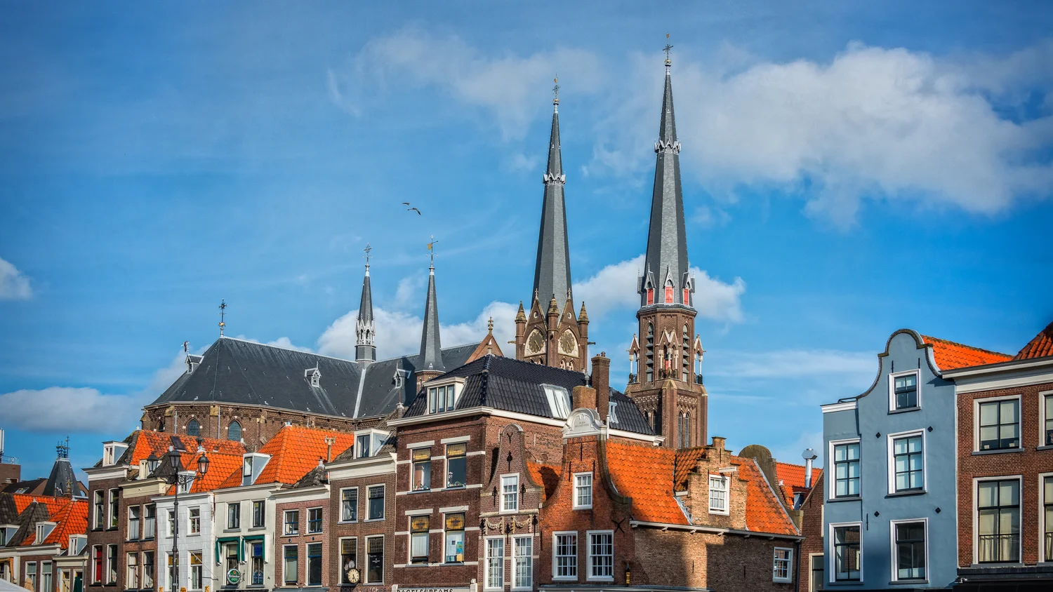 Holland2015-383.jpg