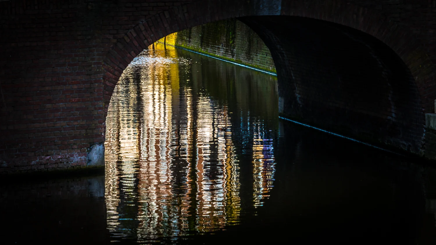 Holland2015-388.jpg