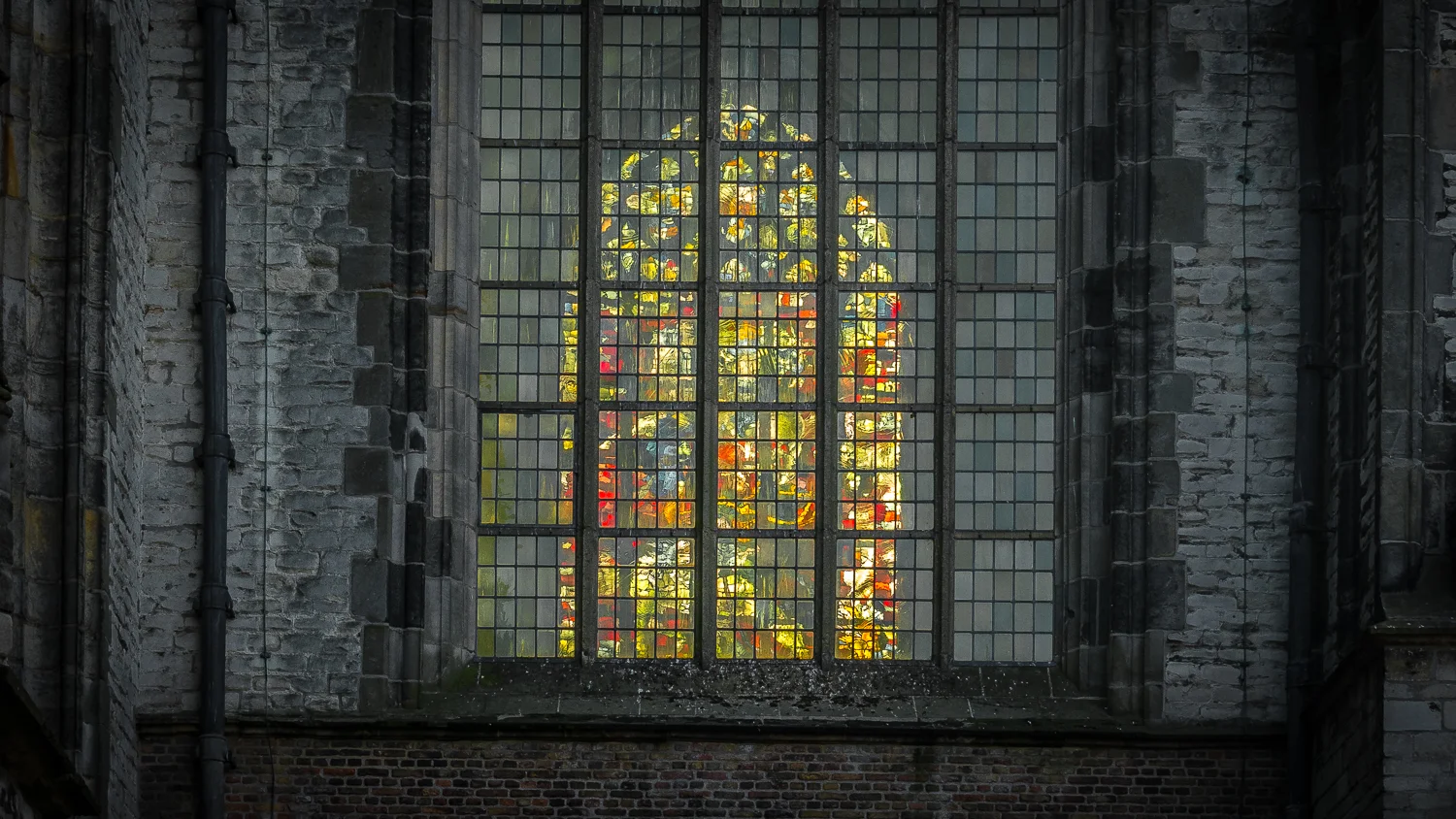 Holland2015-391.jpg