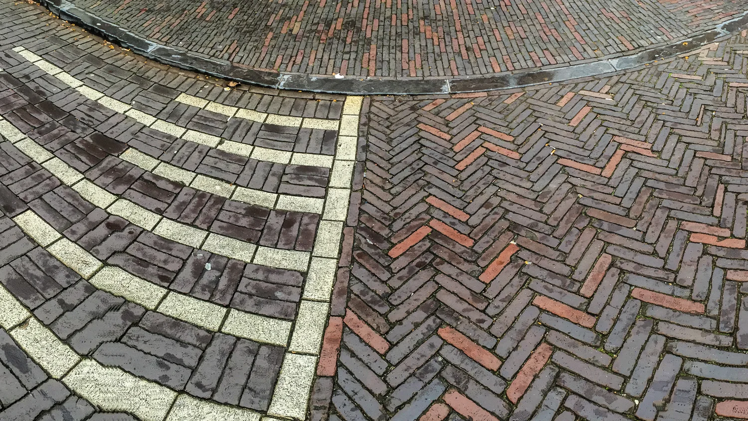 Holland2015-413.jpg