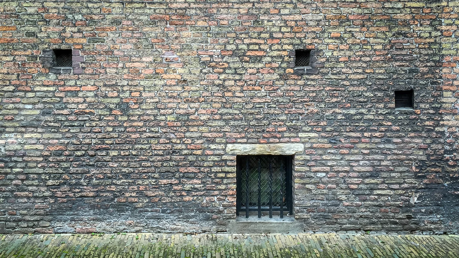 Holland2015-444.jpg