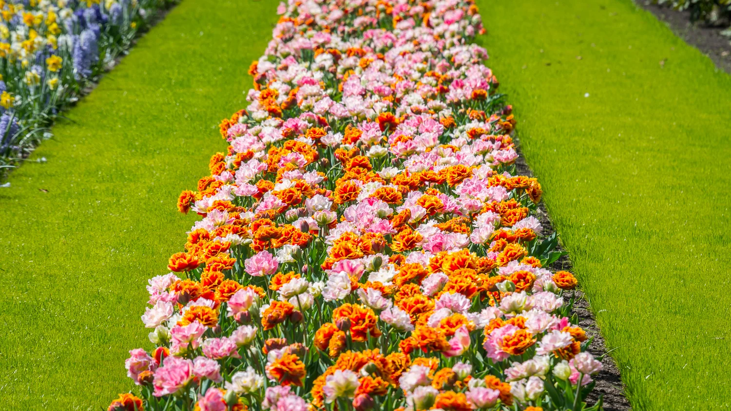 Holland2015-65.jpg