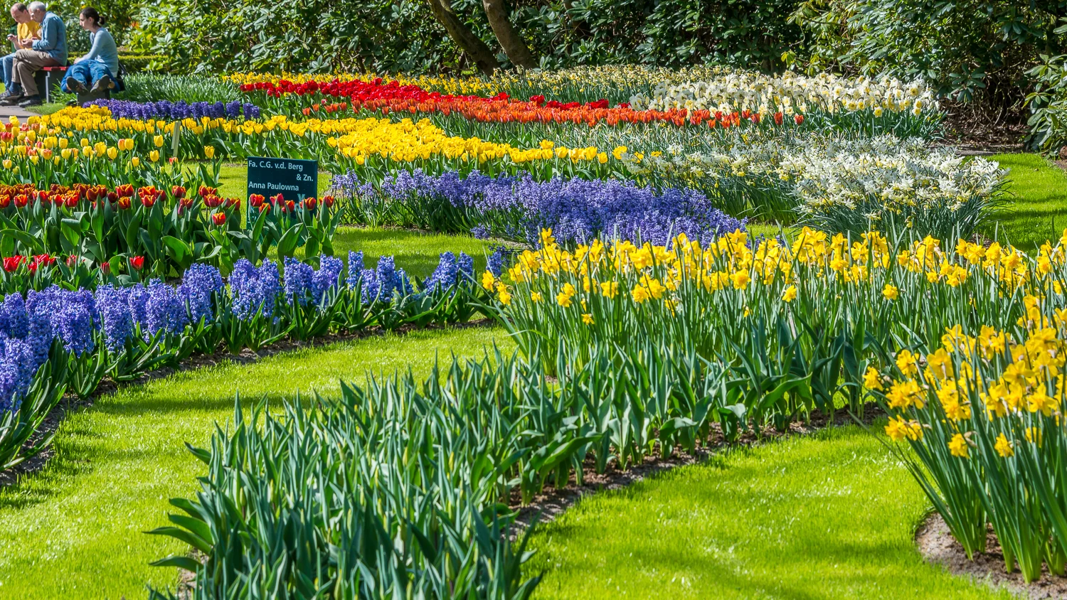 Holland2015-83.jpg
