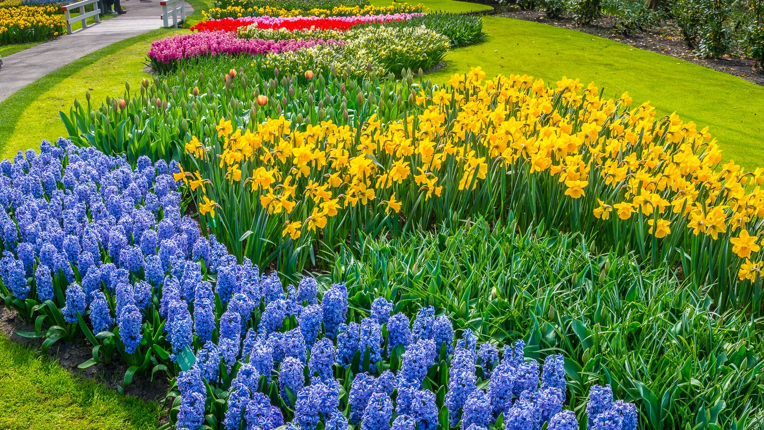 Holland2015-91.jpg