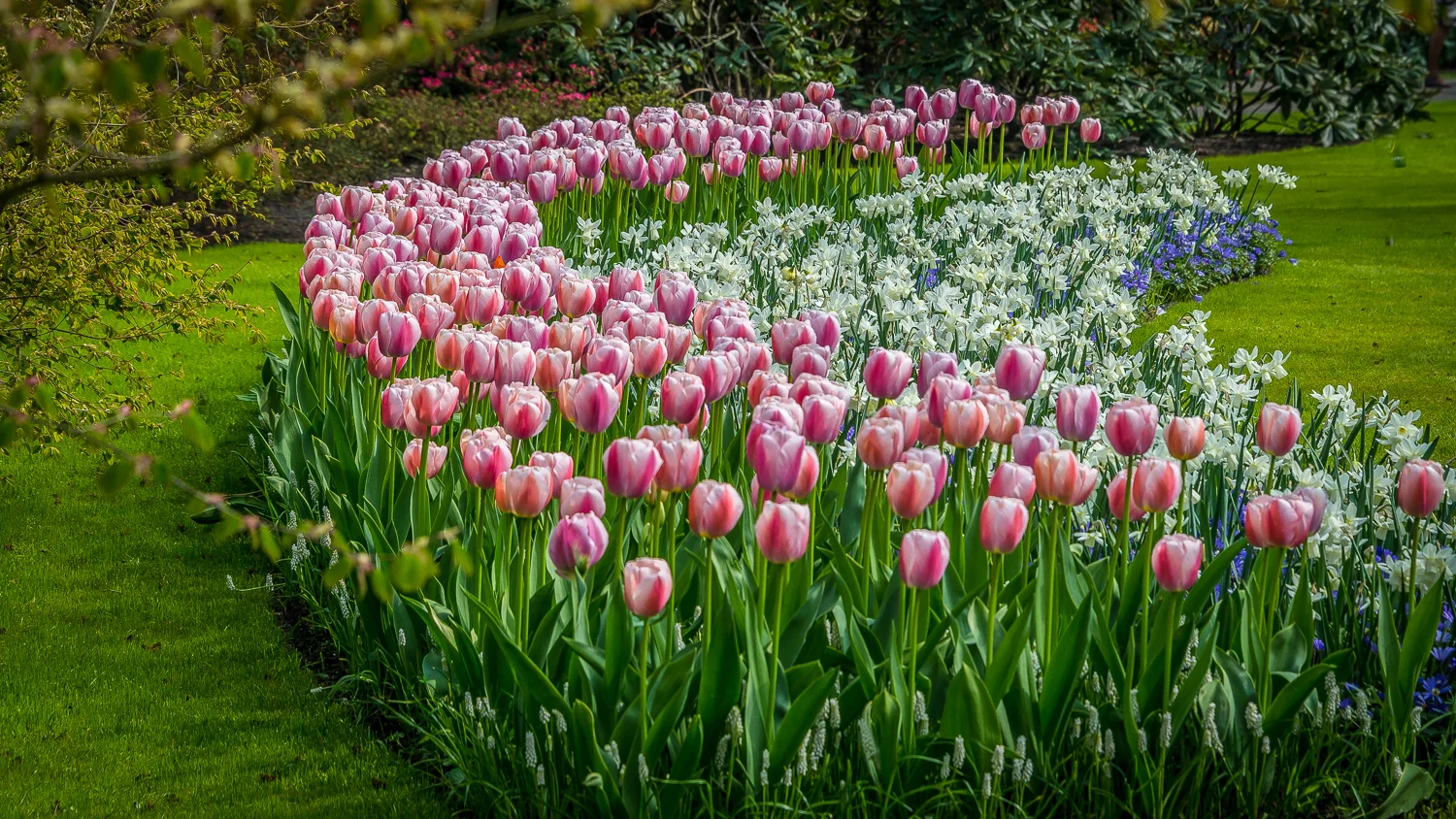 Holland2015-94.jpg
