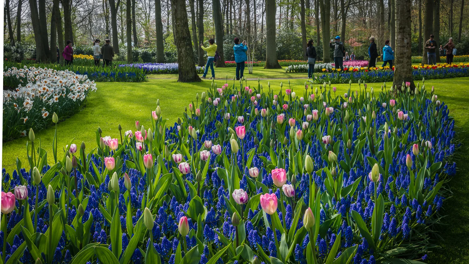 Holland2015-102.jpg