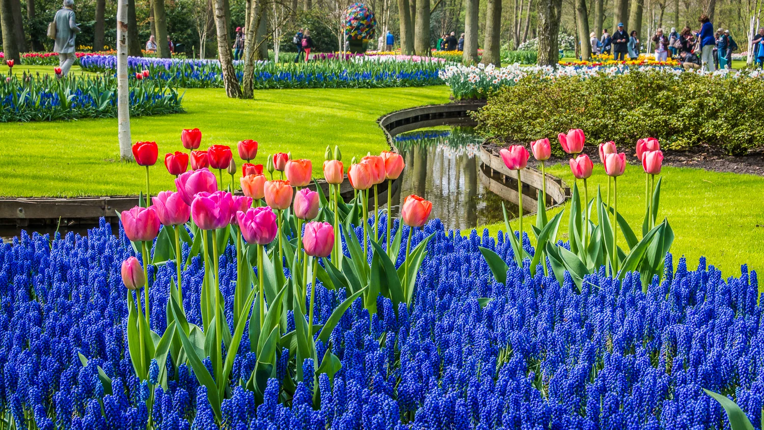 Holland2015-105.jpg