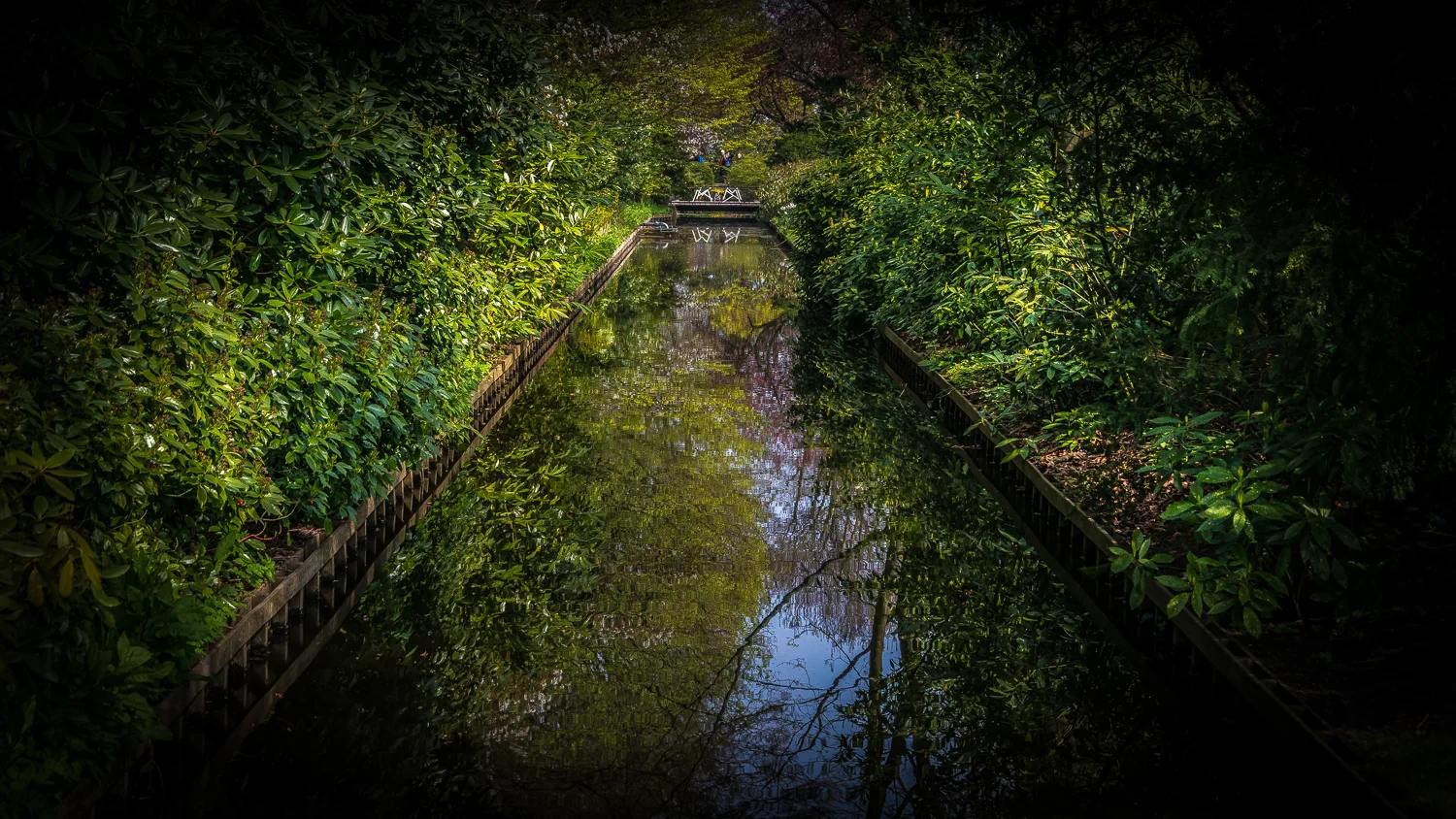 Holland2015-109.jpg