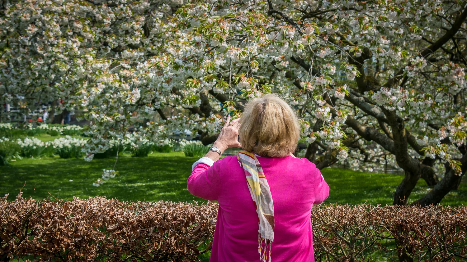 Holland2015-110.jpg