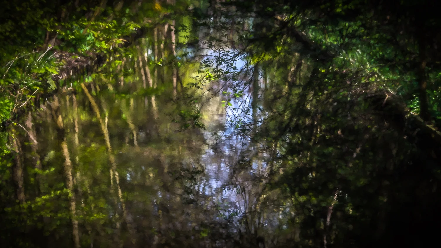 Holland2015-116.jpg