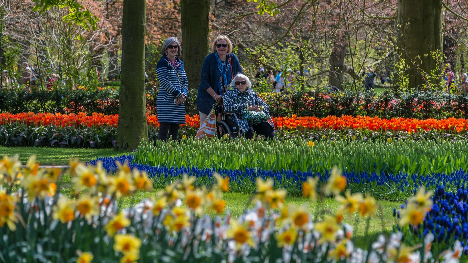 Holland2015-123.jpg