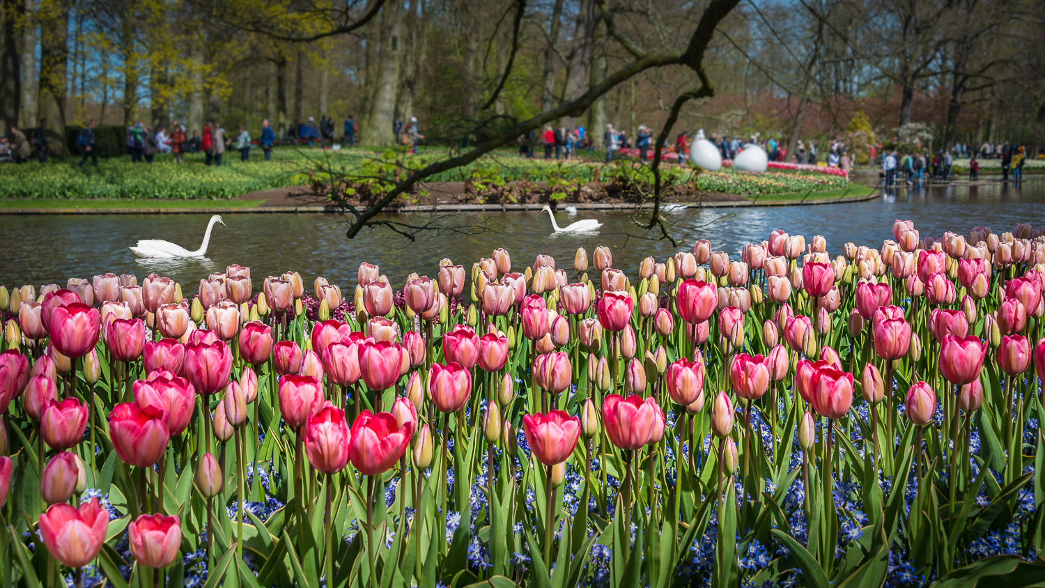 Holland2015-129.jpg