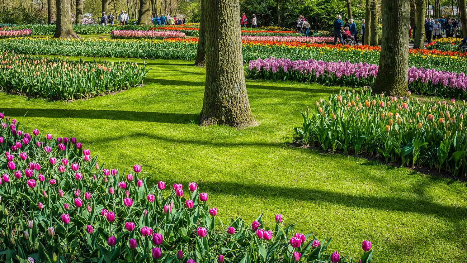 Holland2015-133.jpg