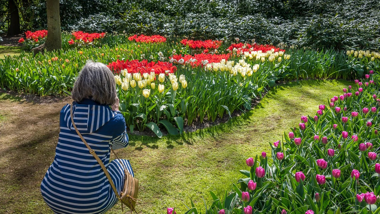 Holland2015-134.jpg