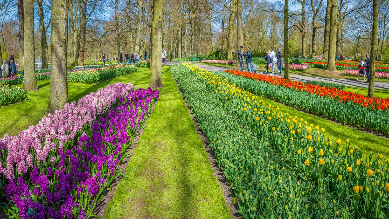 Holland2015-135.jpg