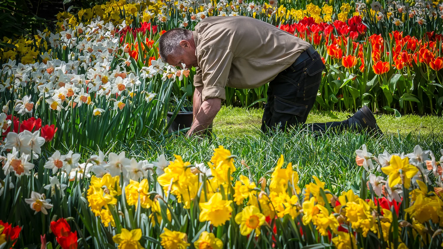 Holland2015-136.jpg