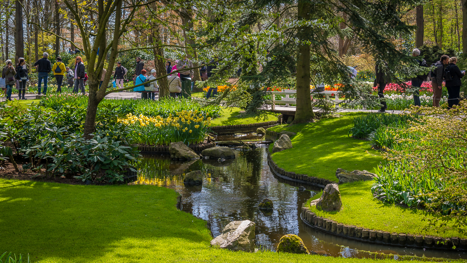 Holland2015-137.jpg