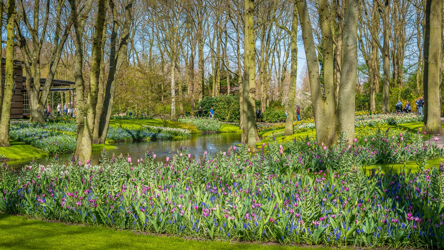 Holland2015-141.jpg