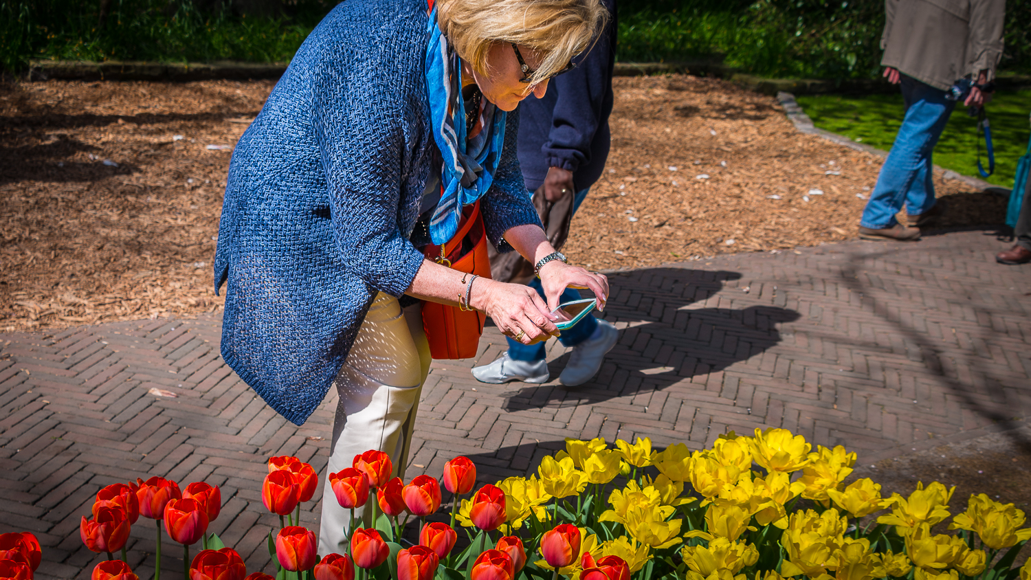 Holland2015-146.jpg