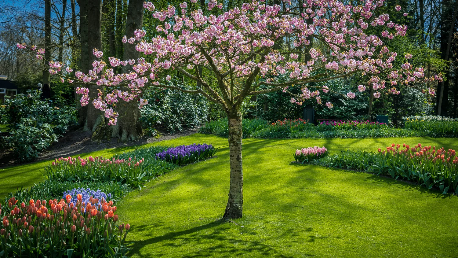Holland2015-156.jpg