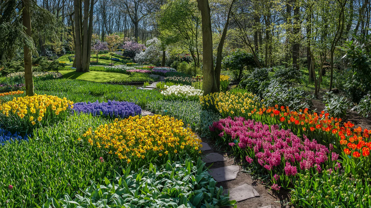 Holland2015-171.jpg